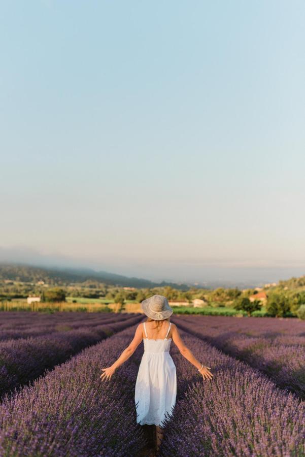 La Petite Ruche, 1 Bedroom Gite In The Luberon 阿普特 外观 照片