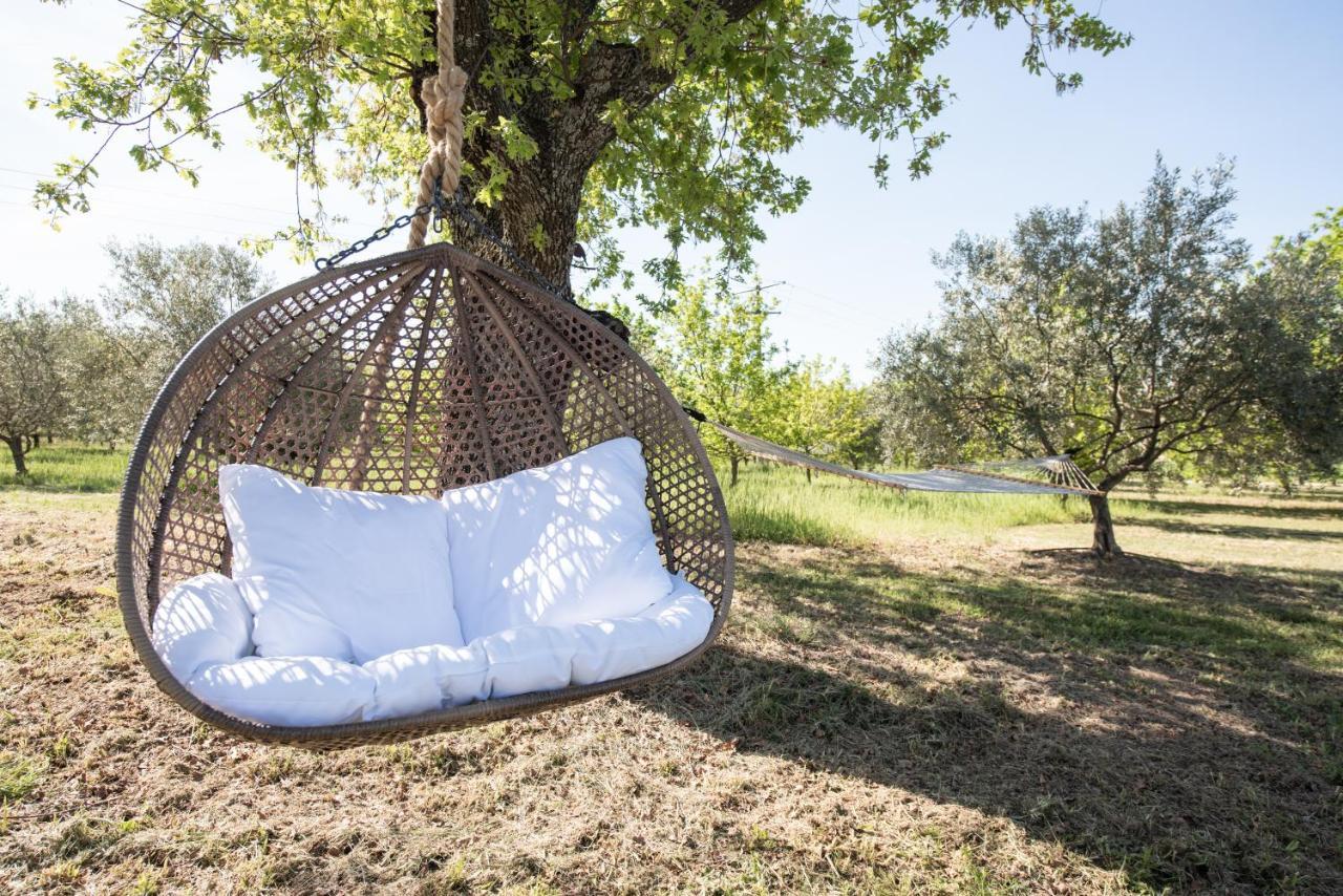 La Petite Ruche, 1 Bedroom Gite In The Luberon 阿普特 外观 照片